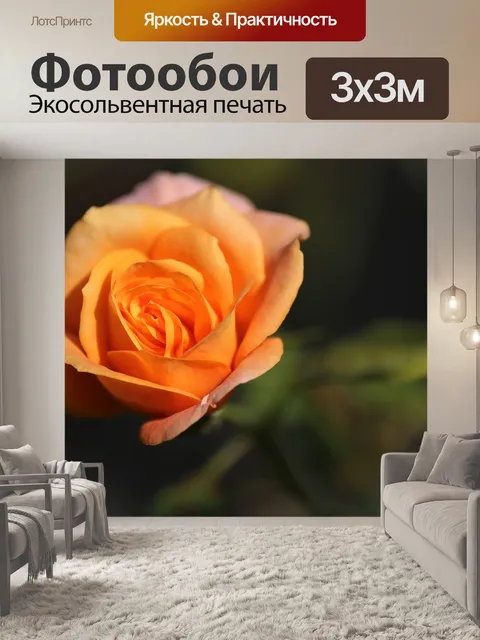 Фотообои Розовая золотая медаль