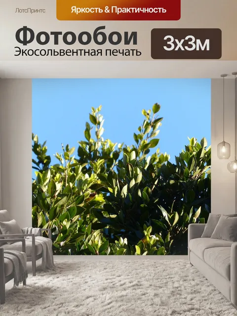 Фотообои Листья