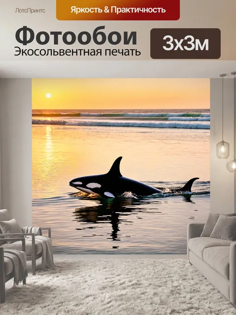 Фотообои идиллический пейзаж на закате: косатка играет в прибрежных водах сан-диего, отражаясь в спокойной воде