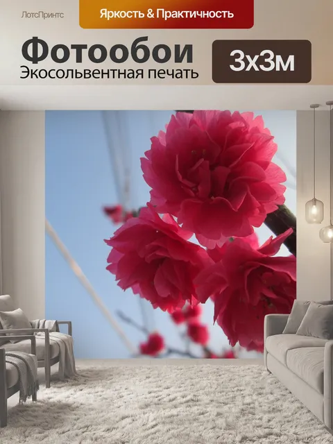 Фотообои Цветение вишни