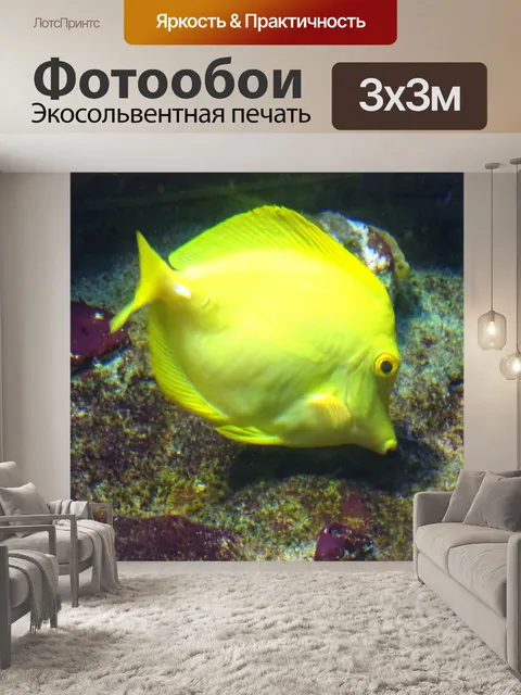 Фотообои Желтые тропические рыбы