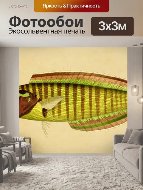 Фотообои Рыба Винтаж Живопись