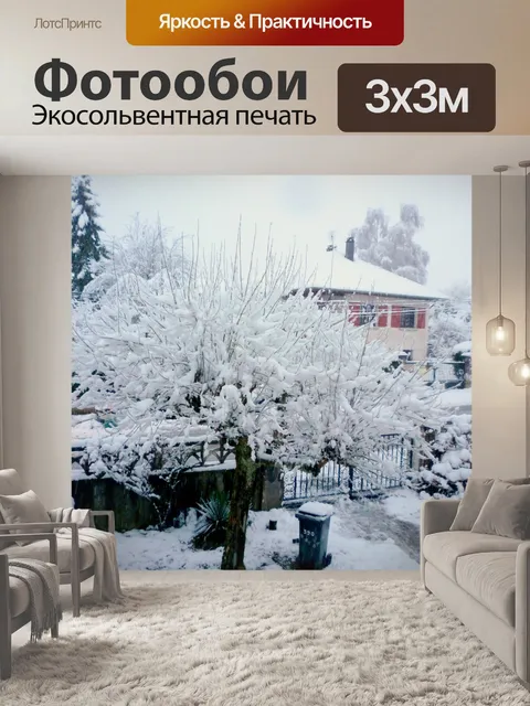 Фотообои Снежный двор