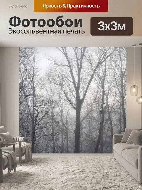 Фотообои Рассвете деревья сквозь туман