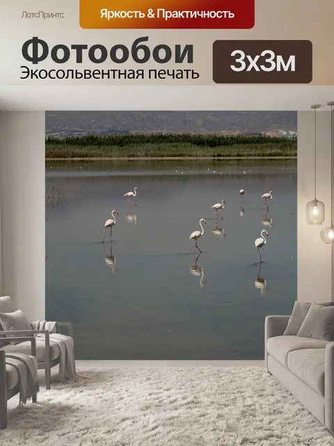 Фотообои Фламинго