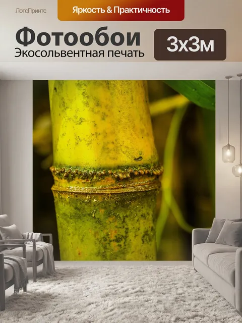 Фотообои Бамбуковый лес природа фон