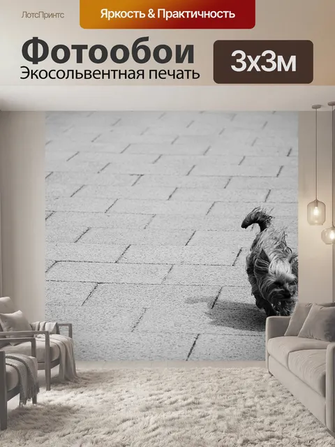Фотообои Йорки