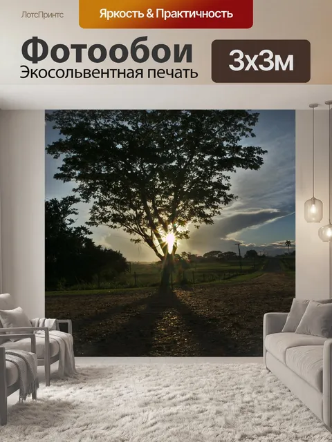 Фотообои Дерево