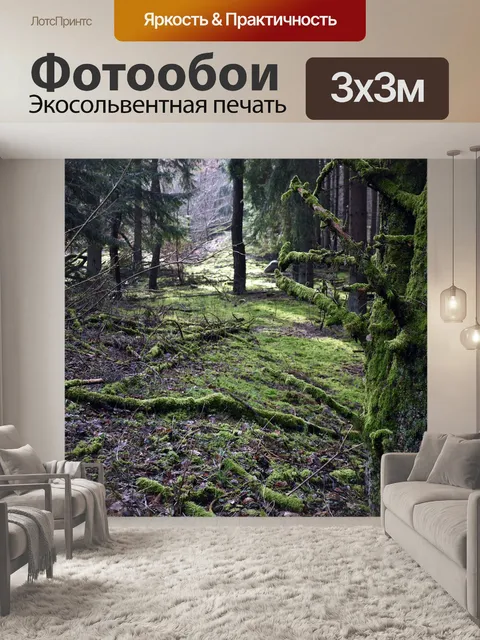 Фотообои Лес