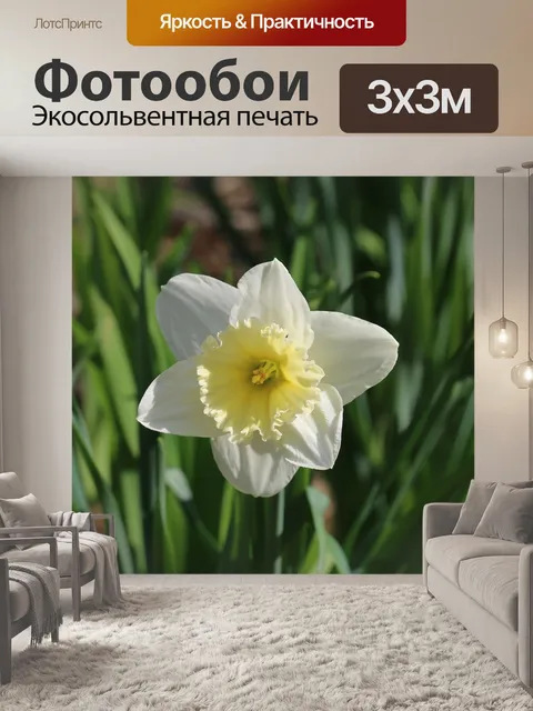 Фотообои Цветы