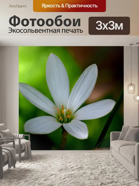 Фотообои Белый
