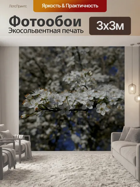 Фотообои Цветы