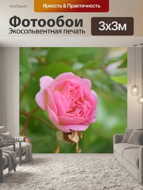 Фотообои Рось