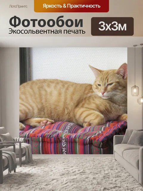 Фотообои Кошка