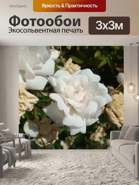 Фотообои Розы