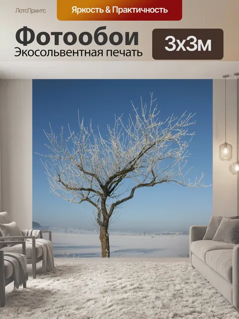 Фотообои Зима