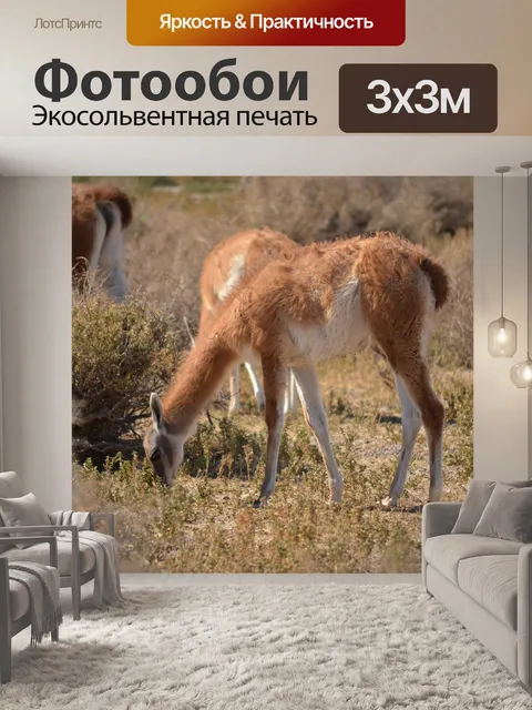 Фотообои Животные
