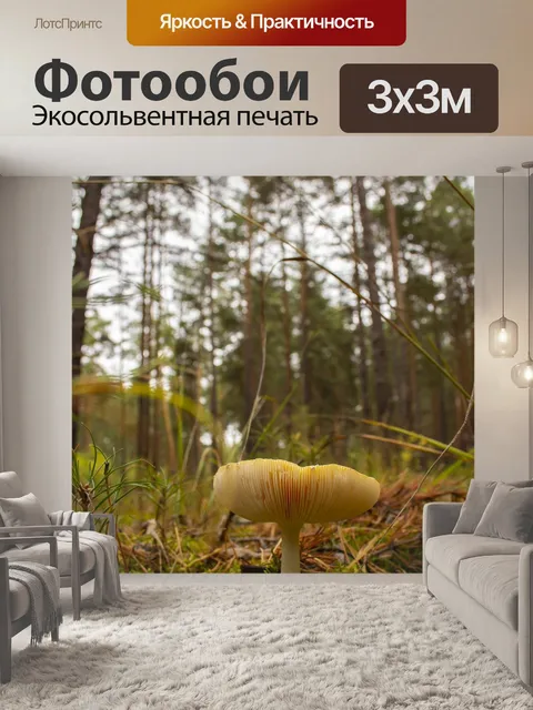 Фотообои Лес