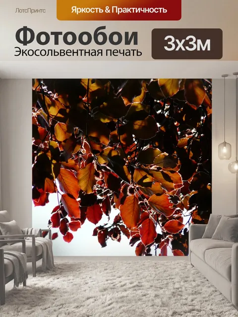 Фотообои Кровавый бук
