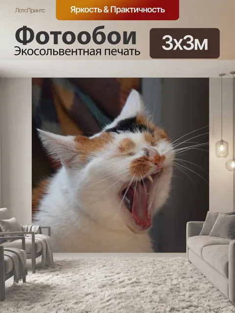 Фотообои Кошка