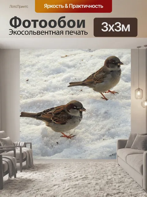 Фотообои Воробьи