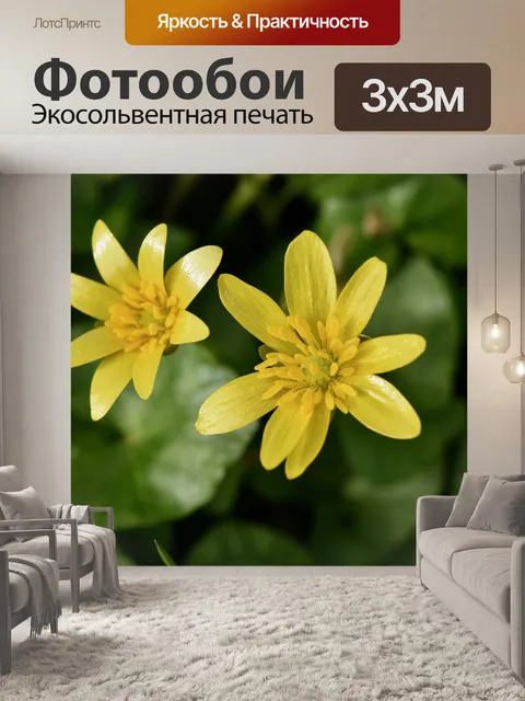 Фотообои Цветы
