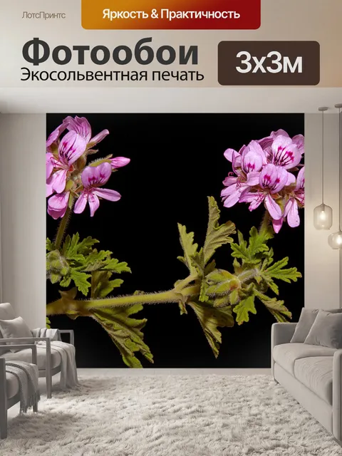 Фотообои Цветы