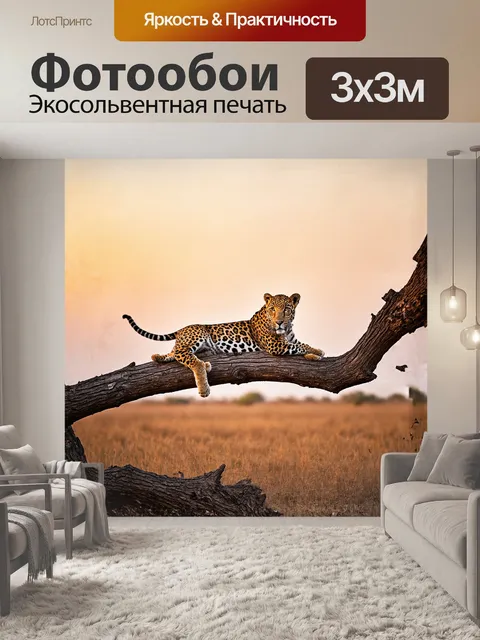 Фотообои на фоне бархатистого заката