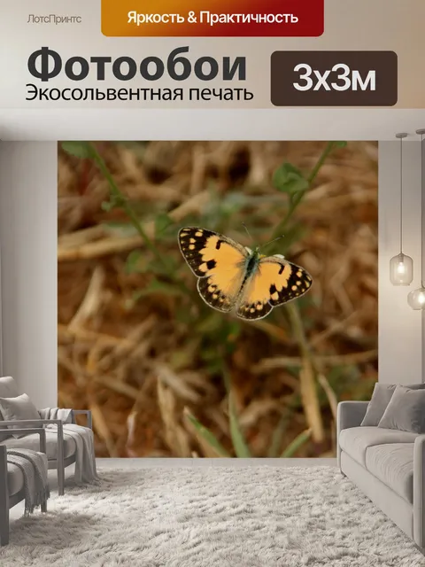Фотообои Бабочка