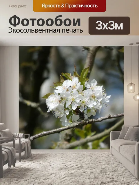 Фотообои Цвести