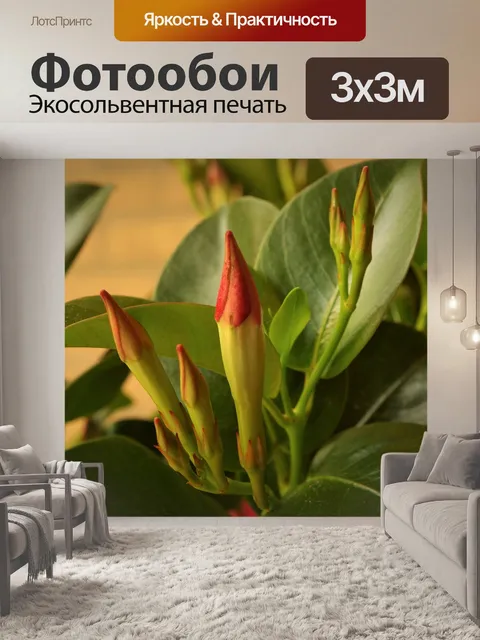 Фотообои Цветы