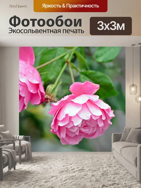 Фотообои Розы
