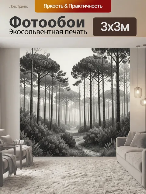 Фотообои Туманный сосновый лес
