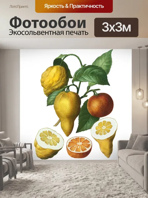 Фотообои Лимонный Апельсин Винтаж Клипарт