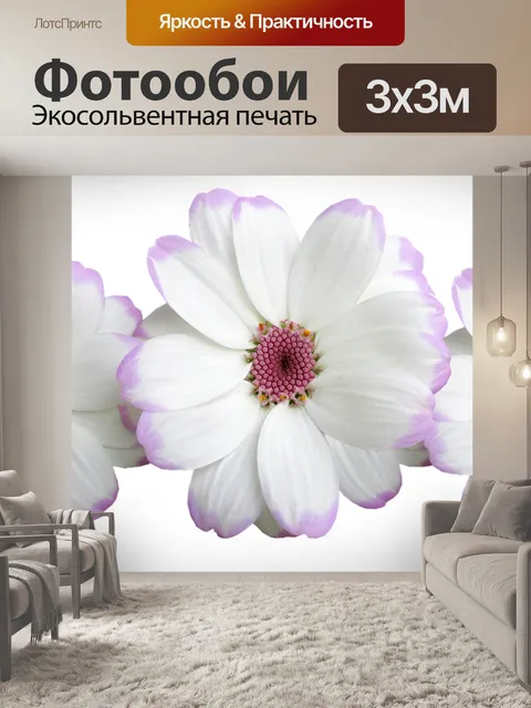 Фотообои Цветы