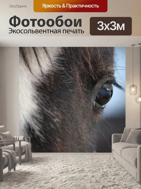 Фотообои Лошадь