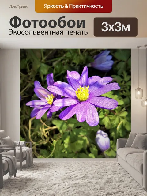 Фотообои Цветок
