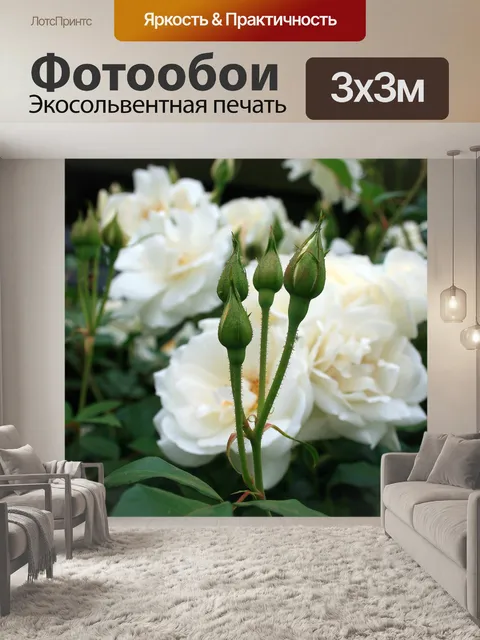 Фотообои вырос бутоны