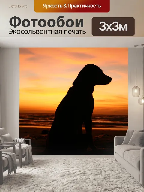 Фотообои Собака