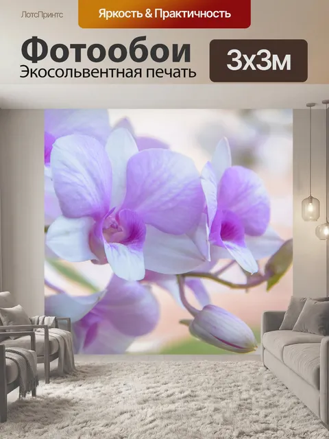 Фотообои Орхидея