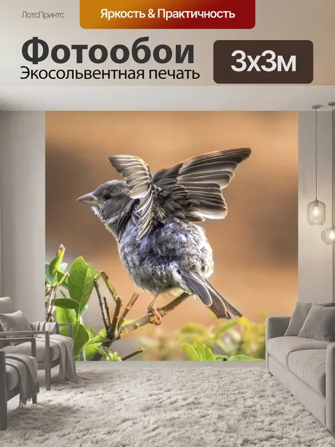 Фотообои Птица