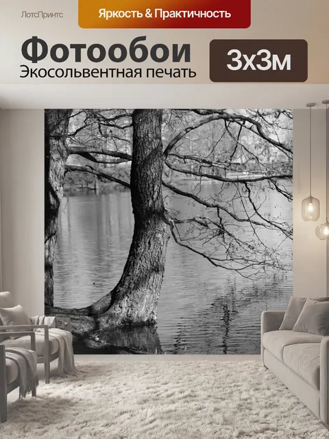 Фотообои Деревья на пляже