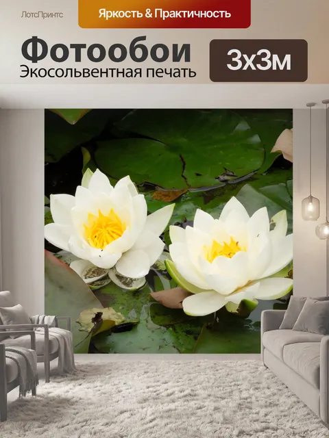 Фотообои Водяные лилии