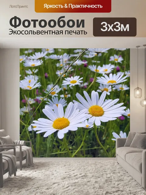 Фотообои Ромашки