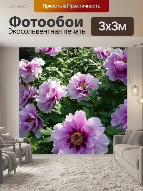 Фотообои Расцветает