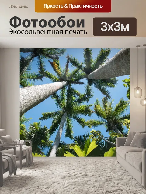 Фотообои Флорида