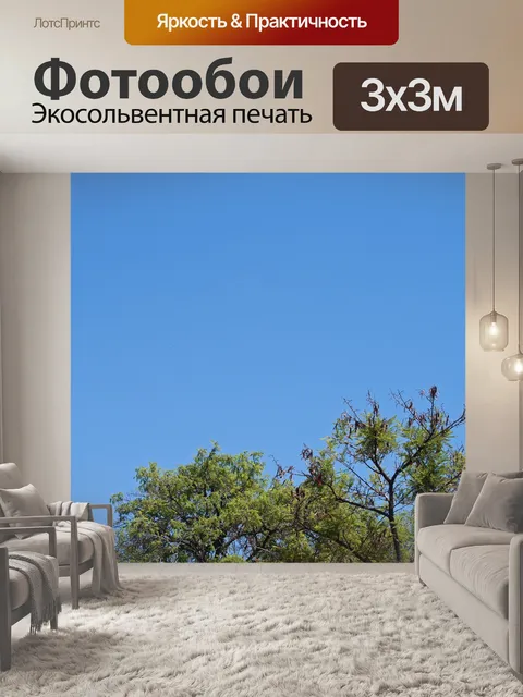 Фотообои верхушки деревьев с новыми зелеными лист