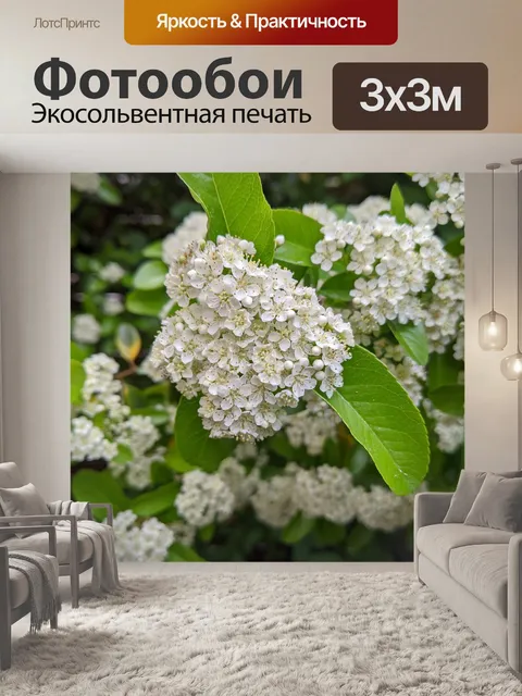 Фотообои Цветы