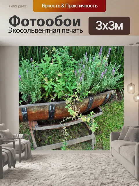 Фотообои лаванды в бочке