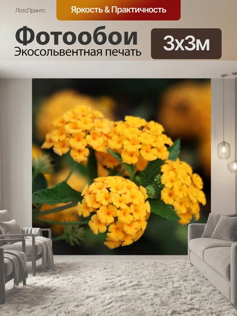 Фотообои Желтые цветы лантаны крупным планом